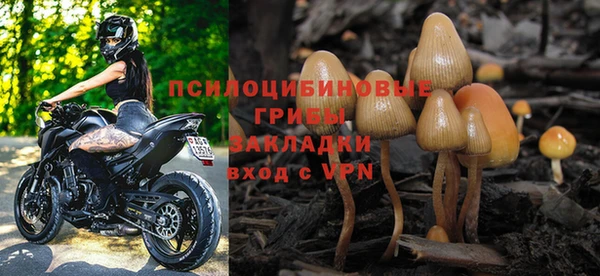 винт Алзамай