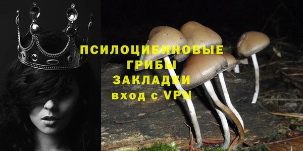 винт Алзамай