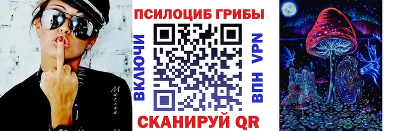 Псилоцибиновые грибы Psilocybine cubensis  Сураж 